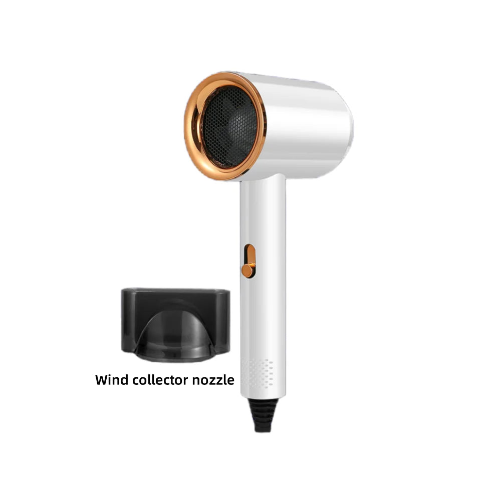 Professional Salon Hair Dryer High Wind Speed Quick Dryer with Ionic Heat Protection Lightweight Travel Home Hotel Use